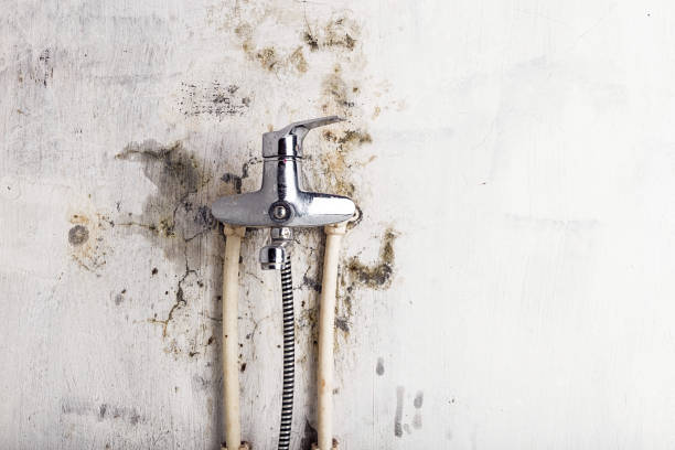 Best Mold Testing  in Moroni, UT