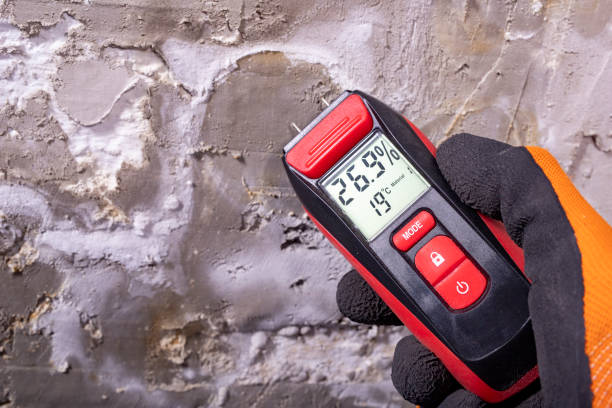 Best Professional Mold Removal  in Moroni, UT