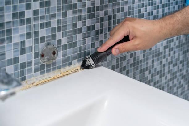 Best Certified Mold Removal  in Moroni, UT