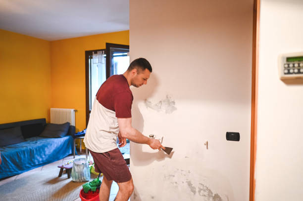 Best Commercial Mold Removal  in Moroni, UT